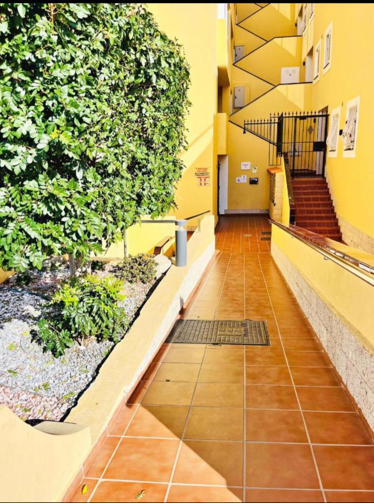Magnolia Apartment 阿德耶 外观 照片